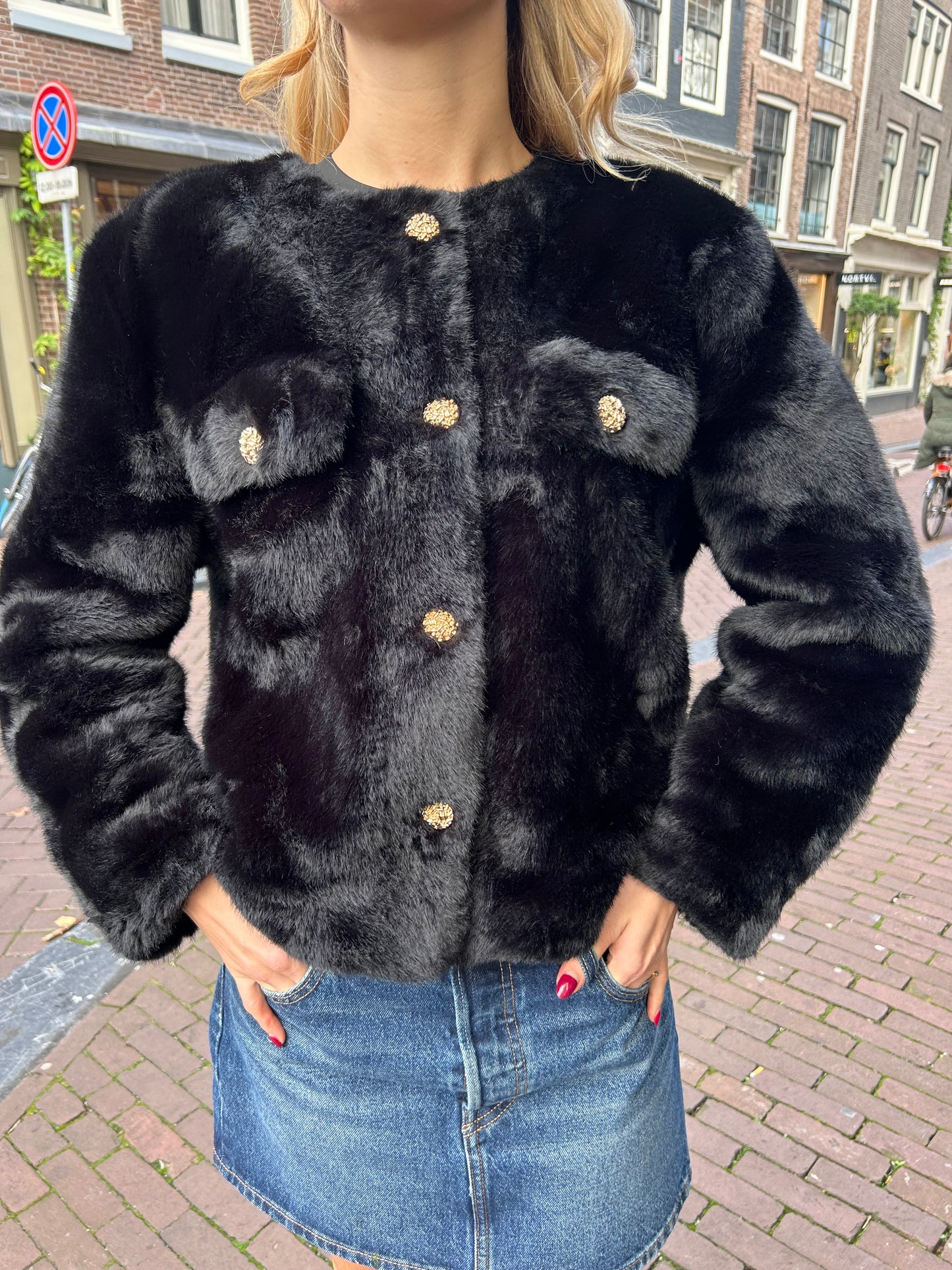 Faux fur fancy coat